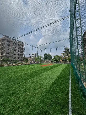 Turf photo 2