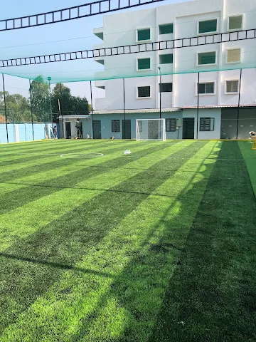 Turf photo 2