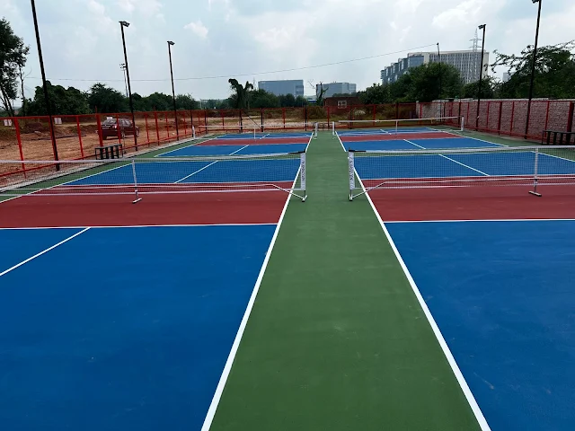 Turf photo 2
