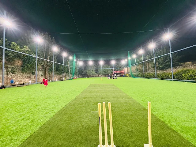Turf main photo