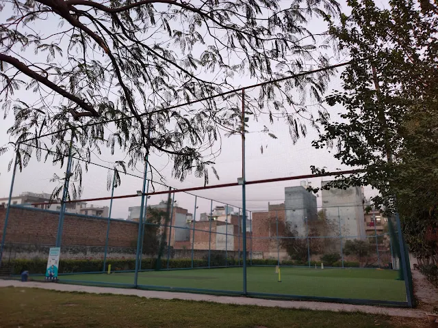 Turf photo 2