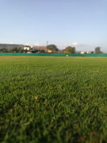 Turf photo 3
