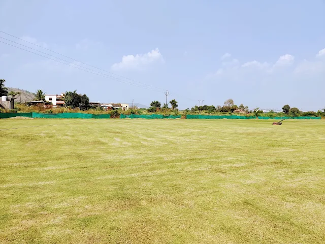 Turf main photo