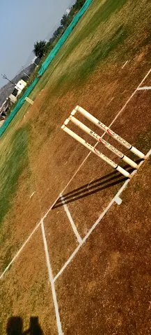 Turf photo 7