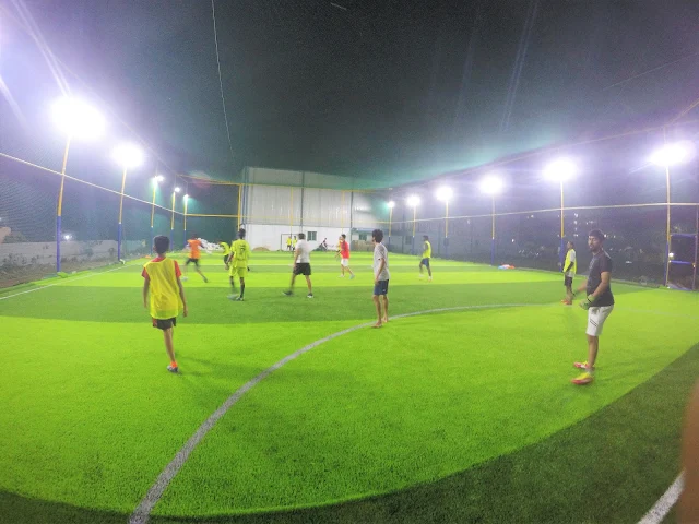 Turf photo 8