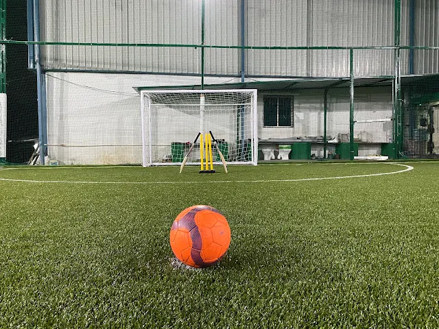 Turf photo 2