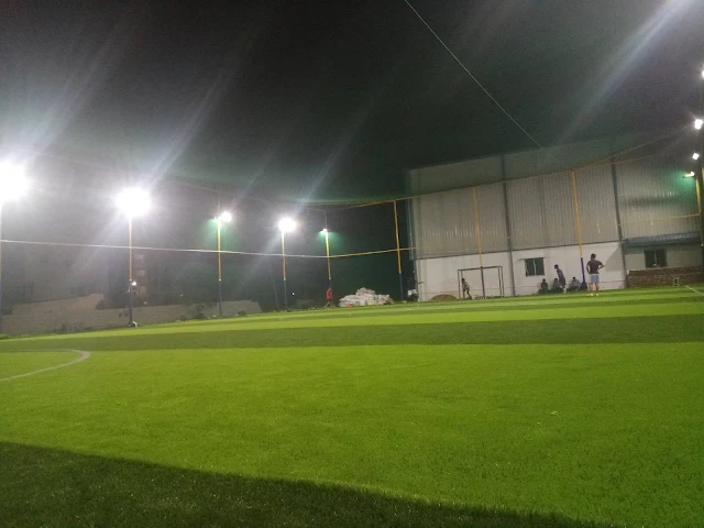 Turf photo 5