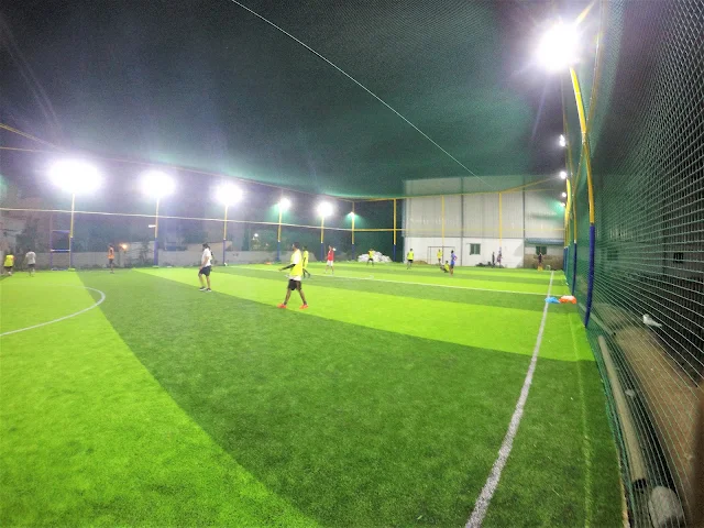 Turf photo 6
