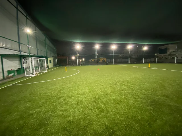 Turf photo 3