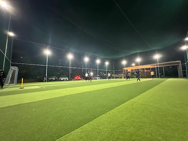 Turf photo 2
