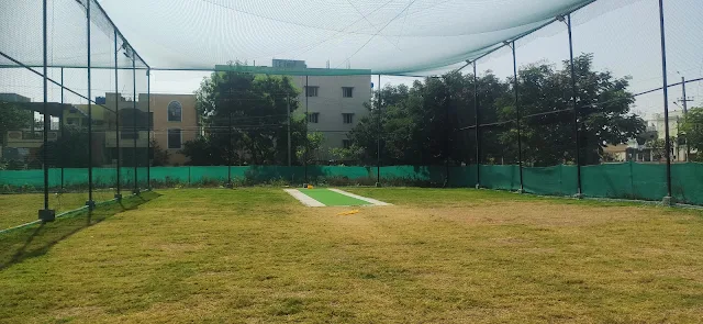 Turf main photo