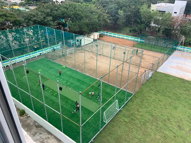 Turf main photo