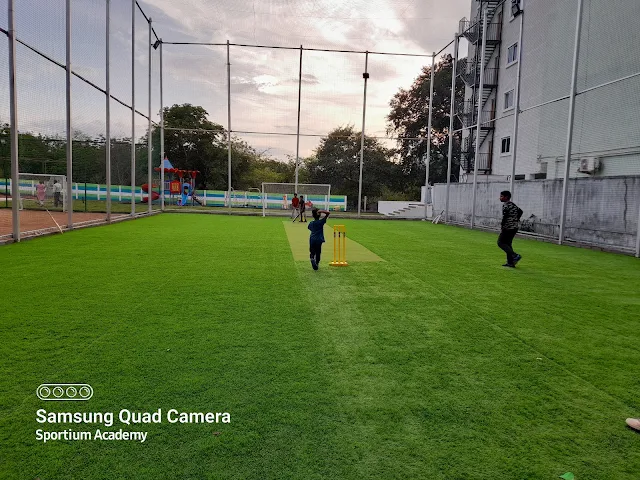 Turf photo 2
