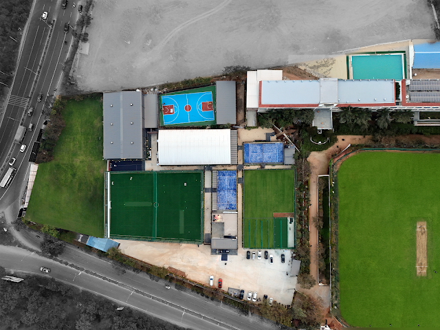 Turf photo 5
