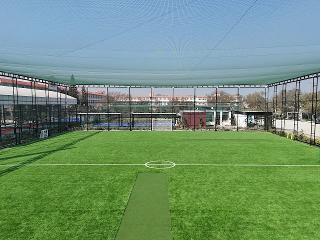 Turf photo 4