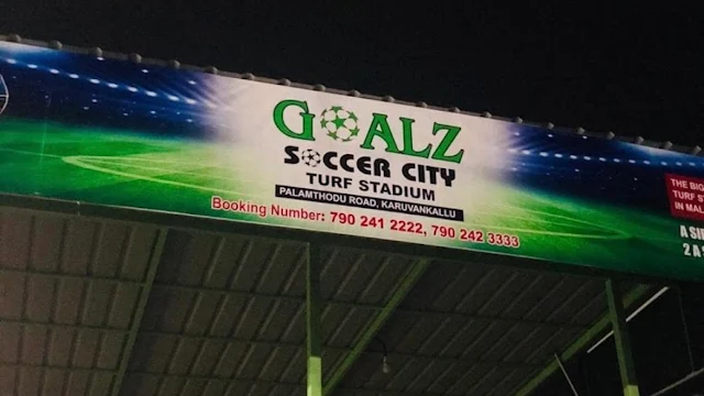 Turf photo 2