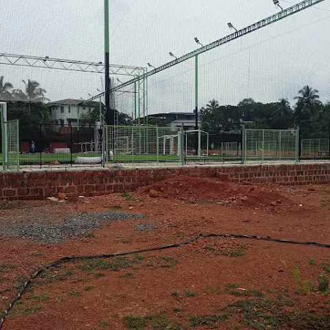 Turf photo 5