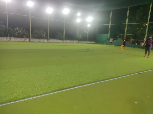 Turf photo 11