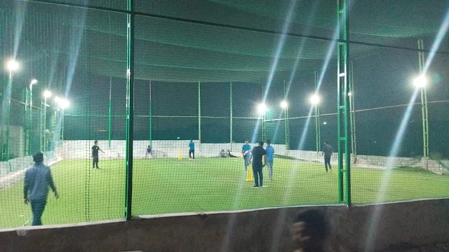 Turf photo 4