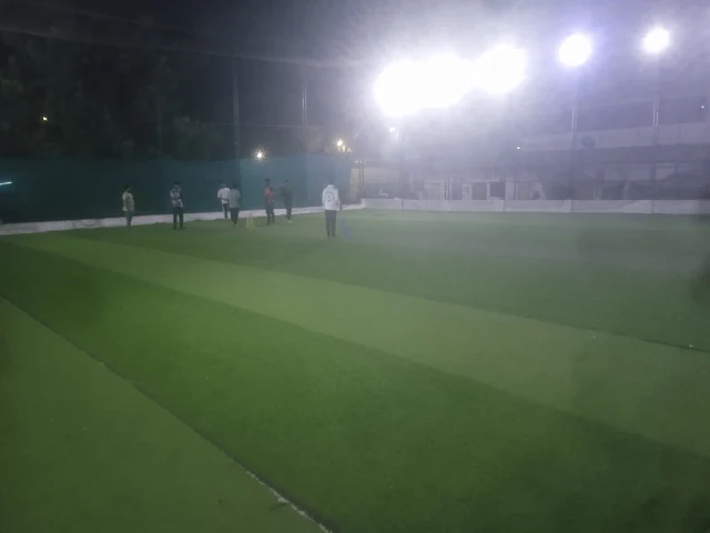 Turf photo 9
