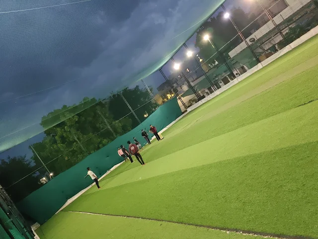 Turf photo 2