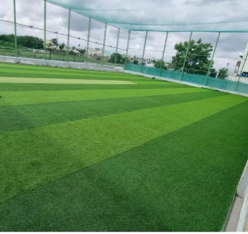 Turf photo 5