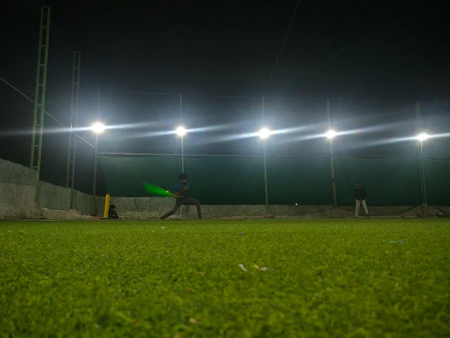 Turf photo 7