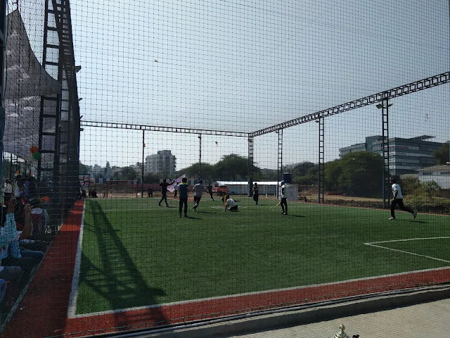 Turf photo 3
