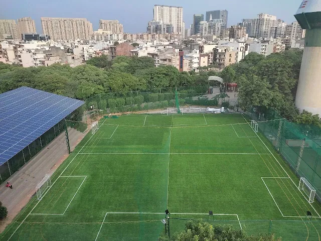Turf photo 2