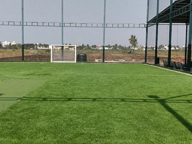 Turf photo 6