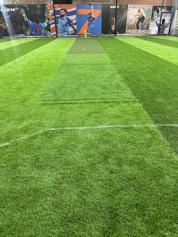 Turf photo 4