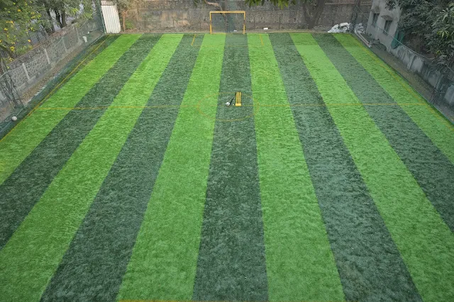 Turf main photo