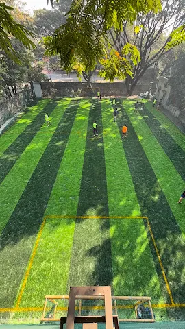 Turf photo 3