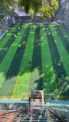 Turf photo 7