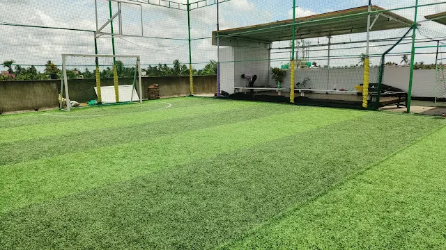 Turf main photo