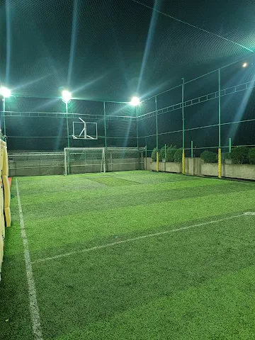 Turf photo 3
