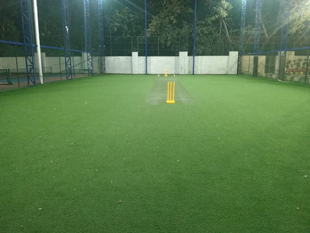 Turf photo 2