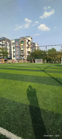 Turf photo 5