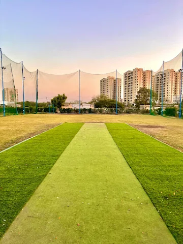 Turf photo 4