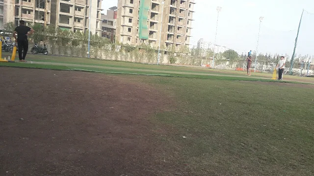 Turf photo 6