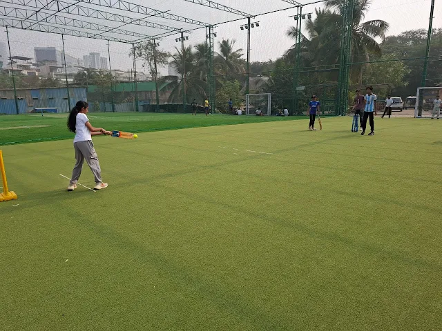 Turf photo 5