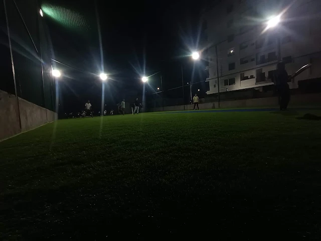 Turf photo 7