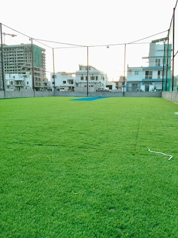 Turf photo 3