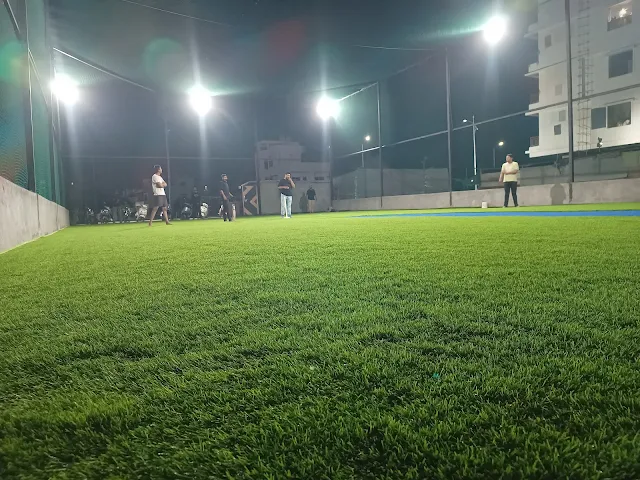 Turf photo 2
