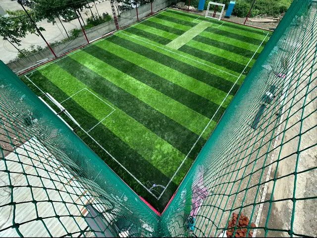 Turf photo 3