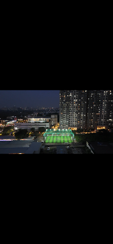 Turf photo 5