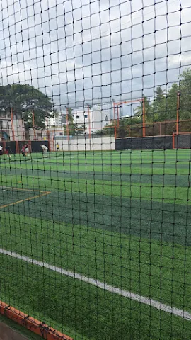 Turf photo 3