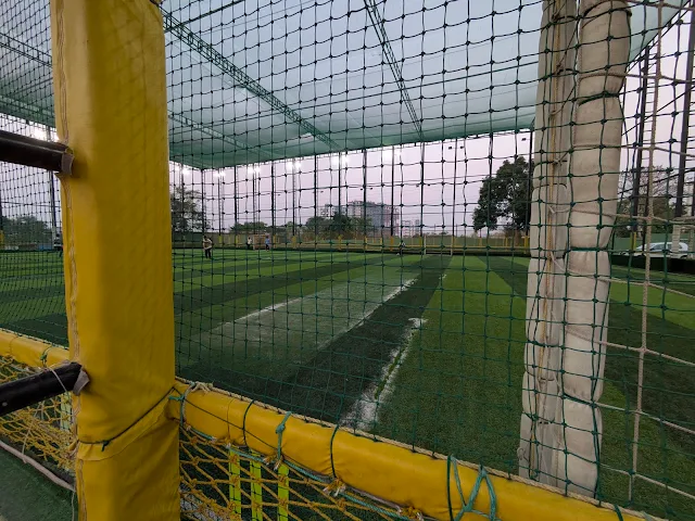 Turf photo 3
