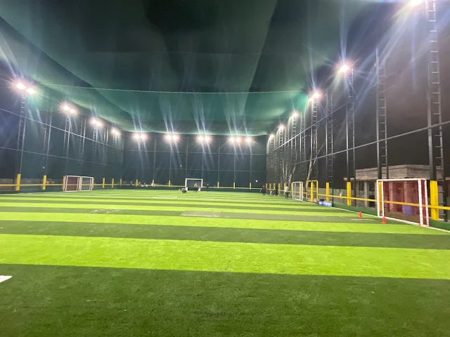 Turf photo 2