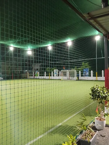 Turf photo 12